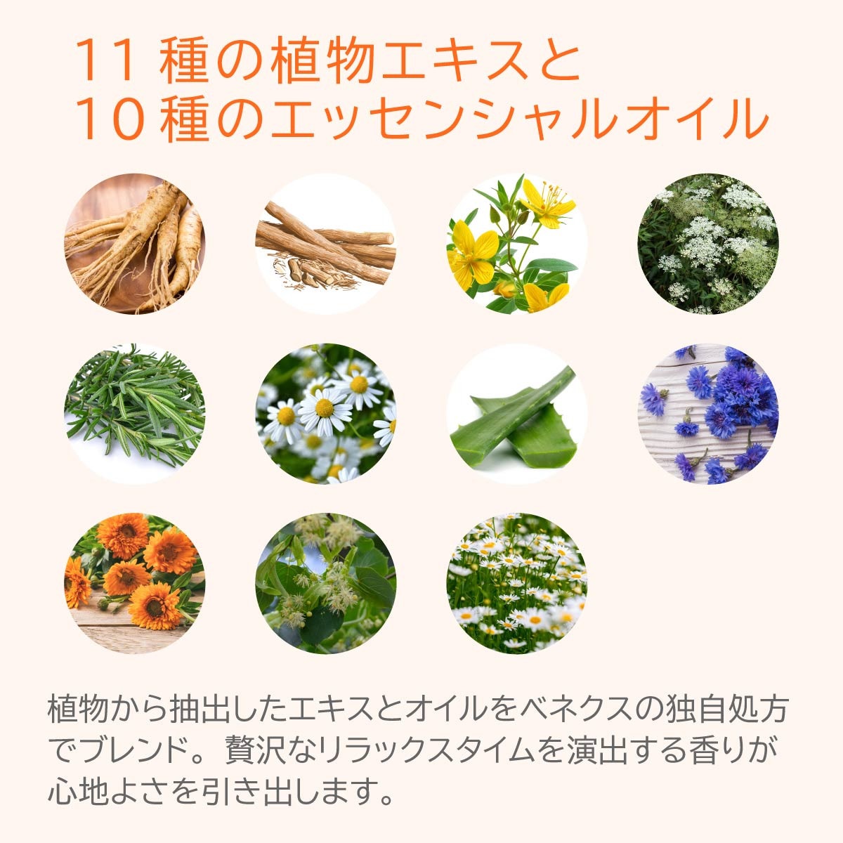 【お値下げ中】AXAGE ボディマッサージジェル・セラム HOUSE OF ROSE ボディマッサージ ジェル コリキュアーズ ボディ