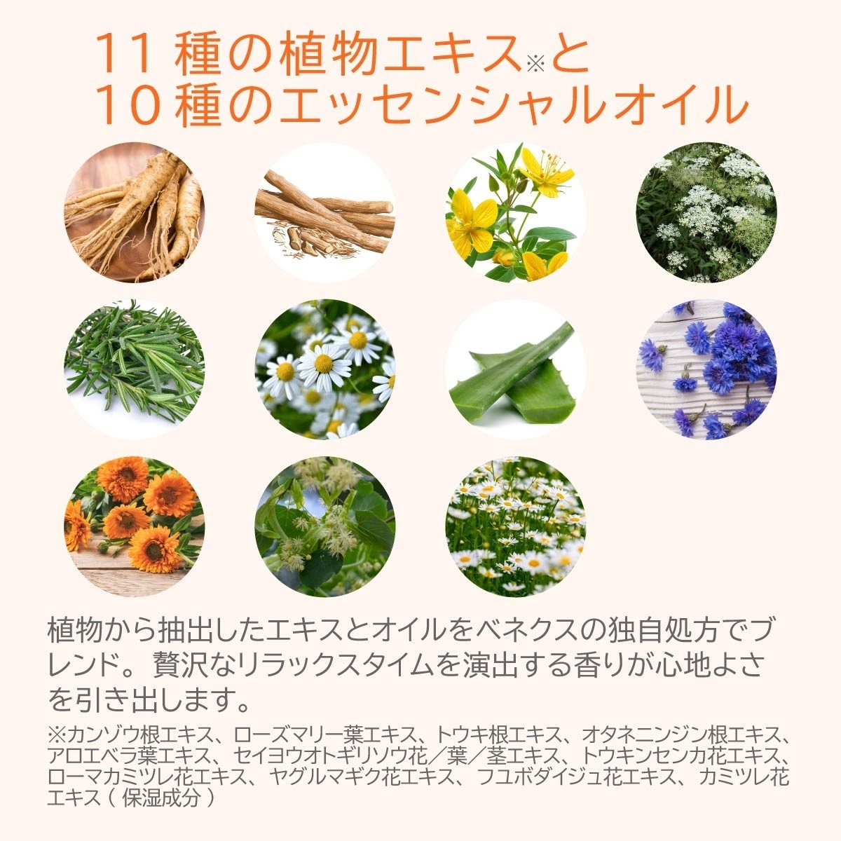 VENEX公式オンラインストア バイタライズゲル 40g＜ボディマッサージ