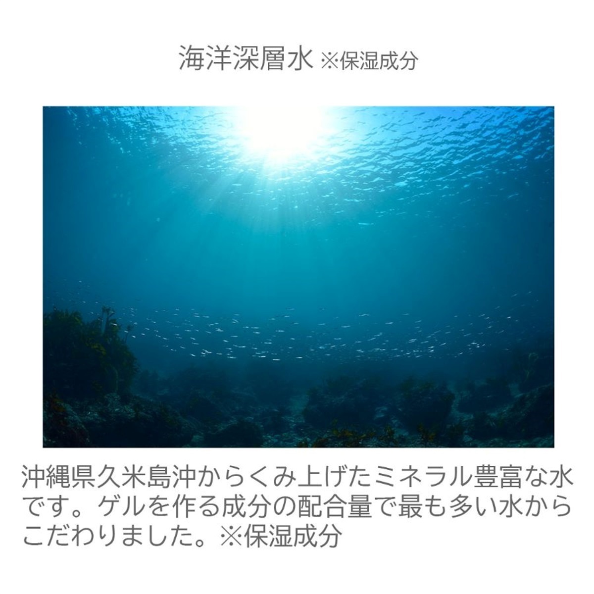 VENEX公式オンラインストア バイタライズゲル 40g＜ボディマッサージ