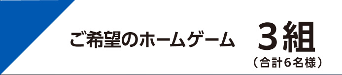 ご希望のホームゲーム 3 組（合計 6 名様）