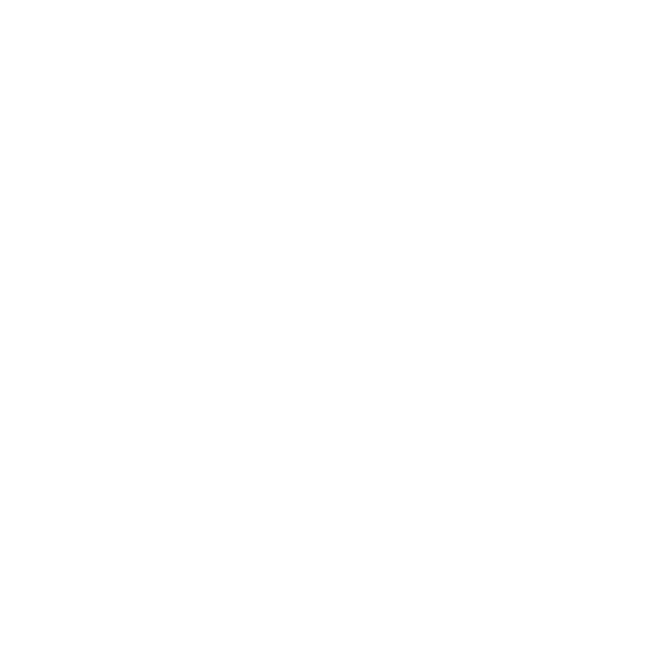 VENEX 20th Anniversary