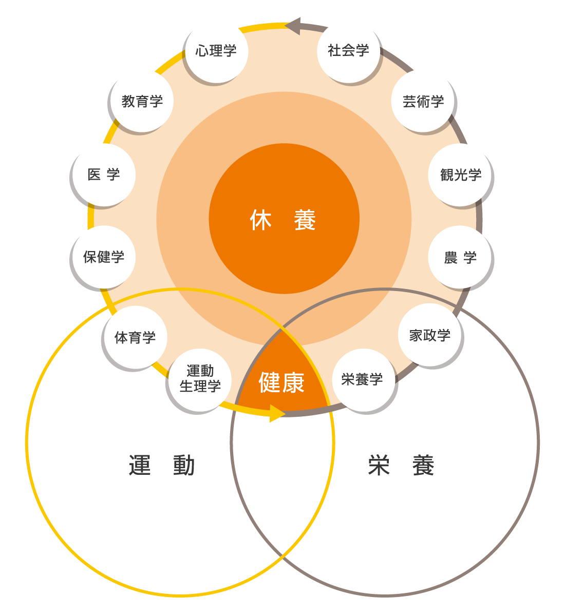 休養×運動×食事栄養の三角形