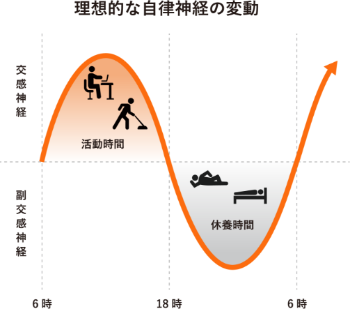 理想的な自律神経の変動